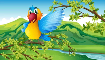 Foto op Plexiglas Een kleurrijke papegaai in het bos © GraphicsRF