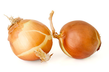 Bulbs of onion