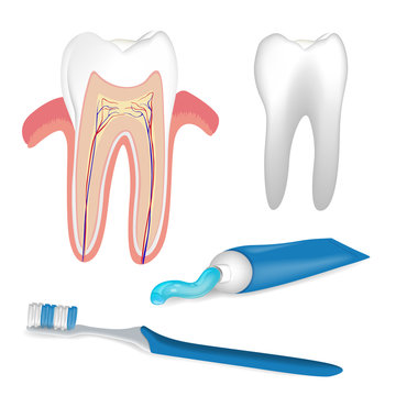 Vector Illustration of Dental Care Elements