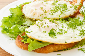 toast with a fried egg