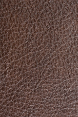 Brown Leather