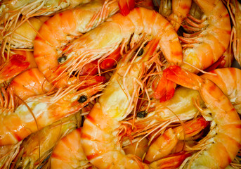 prawns