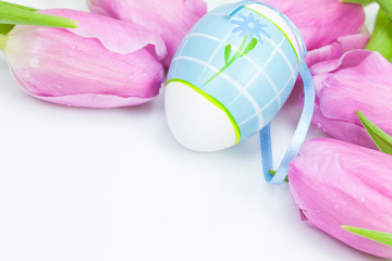 easter eggs withpink  tulips on white with space for text