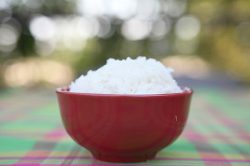 Rice