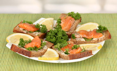 Salmon sandwich on plate,on bright background