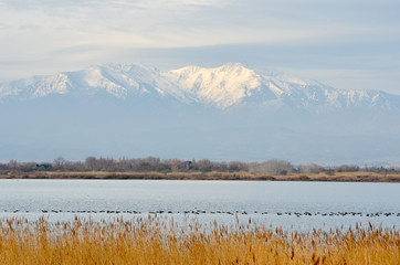 Canigou depuis la mer