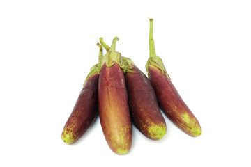 Purple eggplant isolated on white background