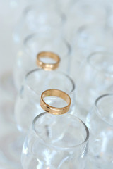 Obraz na płótnie Canvas Golden Wedding Rings on Glasses