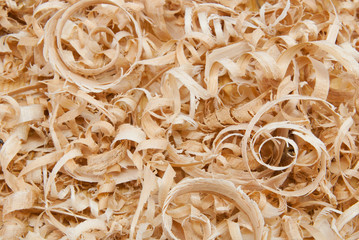 Wood chips and sawdust texture or background