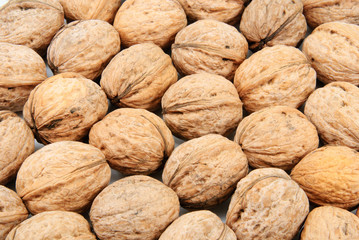 walnut background