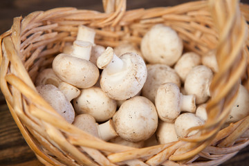 Basket full of mushrooms