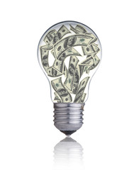 light bulb with money banknotes inside it