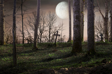 Moon over the cemetery