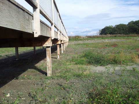 Pont pilotis
