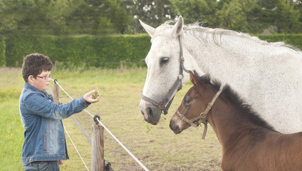 Boy feeding horses