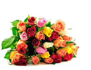 Roses Rainbow Flat on White Background