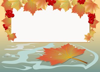 Autumn maple leaves with drops and background for text