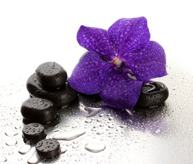 Fototapeta na wymiar Spa kamienie i fioletowy kwiat, na mokrym tle