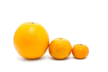 Orange Family in Size Order isolated on white
