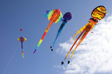 Colorful flying kites - Matariki celebration.
