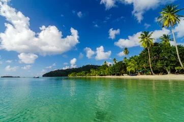 Foto op Plexiglas Tropische kustlijn © jkraft5