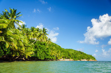 Lush Green Coastline