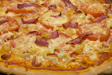 Pizza with cottage cheese, herbs and tomato