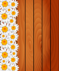 Beauty floral illustration. Wood background.