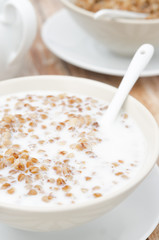Boiled buckwheat with milk in a white bowl, top view