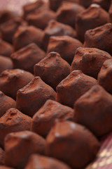 chocolate truffles