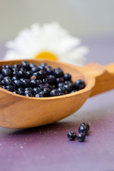 Fresh juicy blueberry fruits