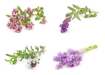 Herb - flower collection