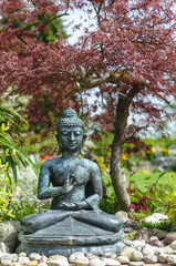 Buddha und Bonsai-Bäumchen