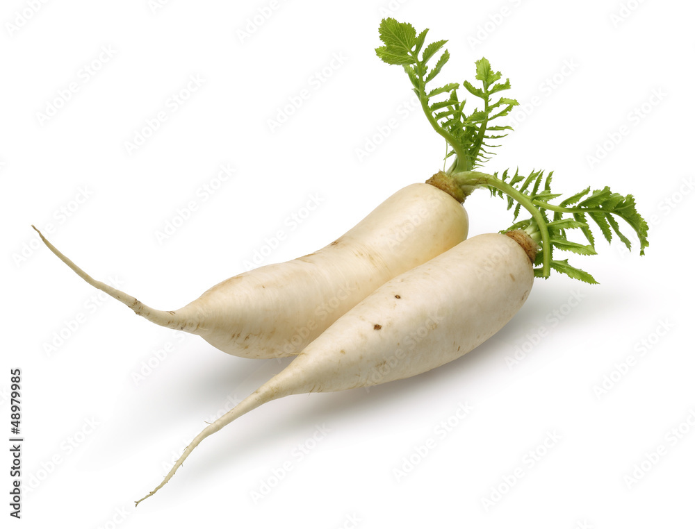 Sticker two daikon white radish