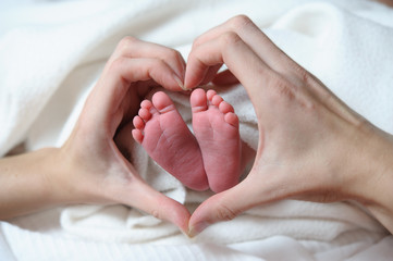 Babyfüßchen in Hand in Herzform - obrazy, fototapety, plakaty