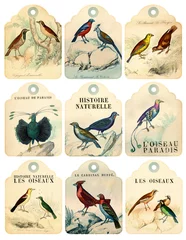 Fotobehang 9 vintage birds labels © lynea