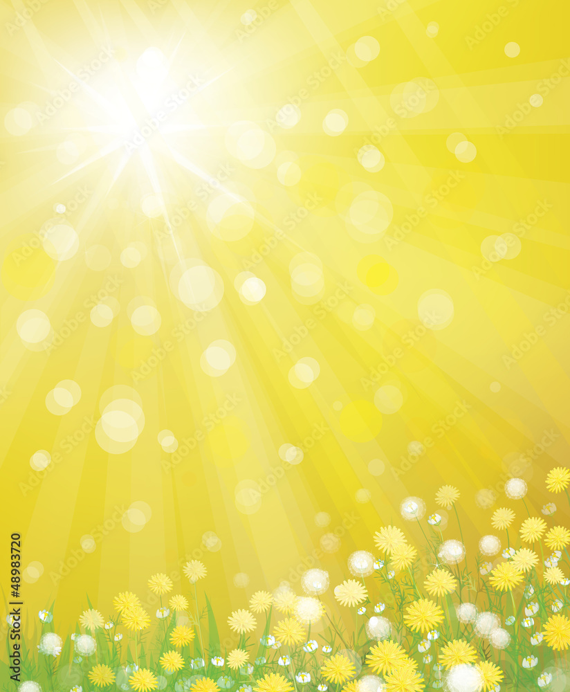 Canvas Prints vector of sky background with yellow dandelions.