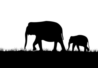 Abstract of Elephant family © supakitmod
