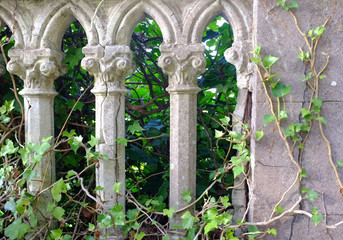 gray pillars and ivy
