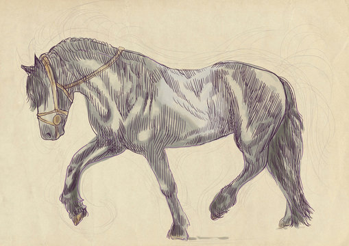 A hand drawn illustration of galloping horse