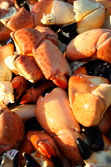 Crab claws background