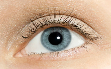 Beautiful woman blue eye close-up
