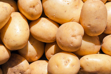 Fresh young potatoes sold on market