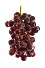 Close up of red grapes on white background with copy space.