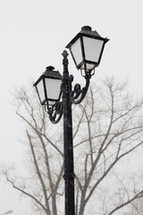 Fototapeta na wymiar Streetlight in the winter in a blizzard