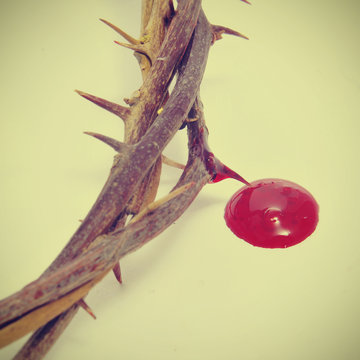 crown of thorns and blood