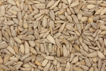 Semi di girasole - Sunflower seeds