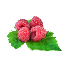 raspberry isolated on white background