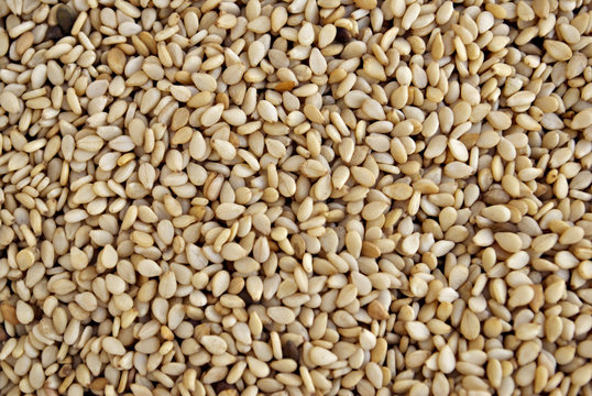 Sesame Seeds