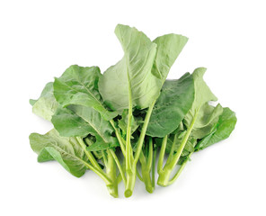 Chinese kale vegetable